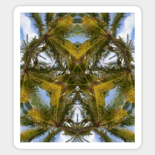 Pattern of palm trees, Miami Beach, Florida Sticker